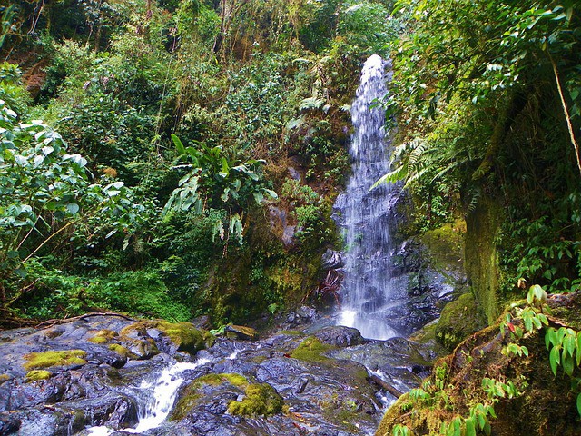 5. Costa Rica - Parque Nacional de la Amistad